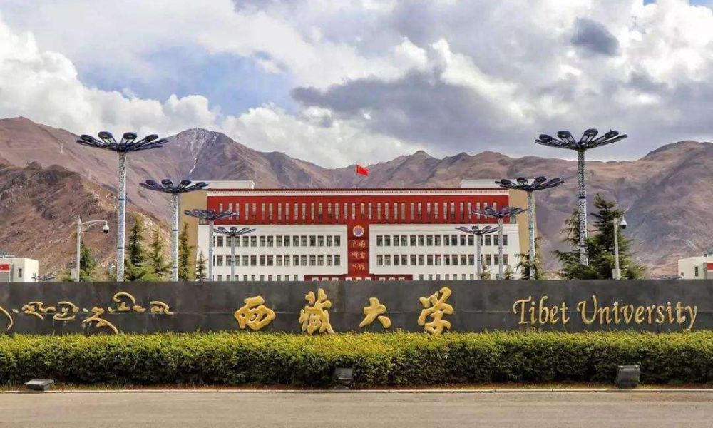 Du học Trung Quốc học ngành gì? Khám phá các ngành học tiềm năng với Du học Hán Ngữ Thành Công